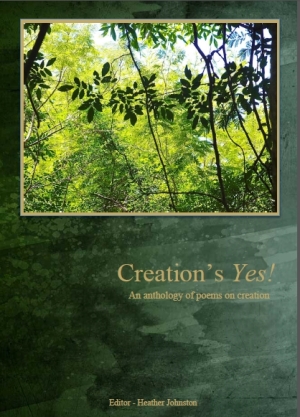 Creation's YES by A Rocha