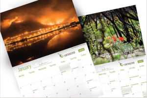 SAFCEI Calendars