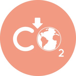 Earth Statement Logo for reducing CO2 levels